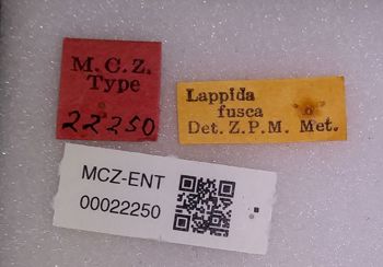 Media type: image;   Entomology 22250 Aspect: labels